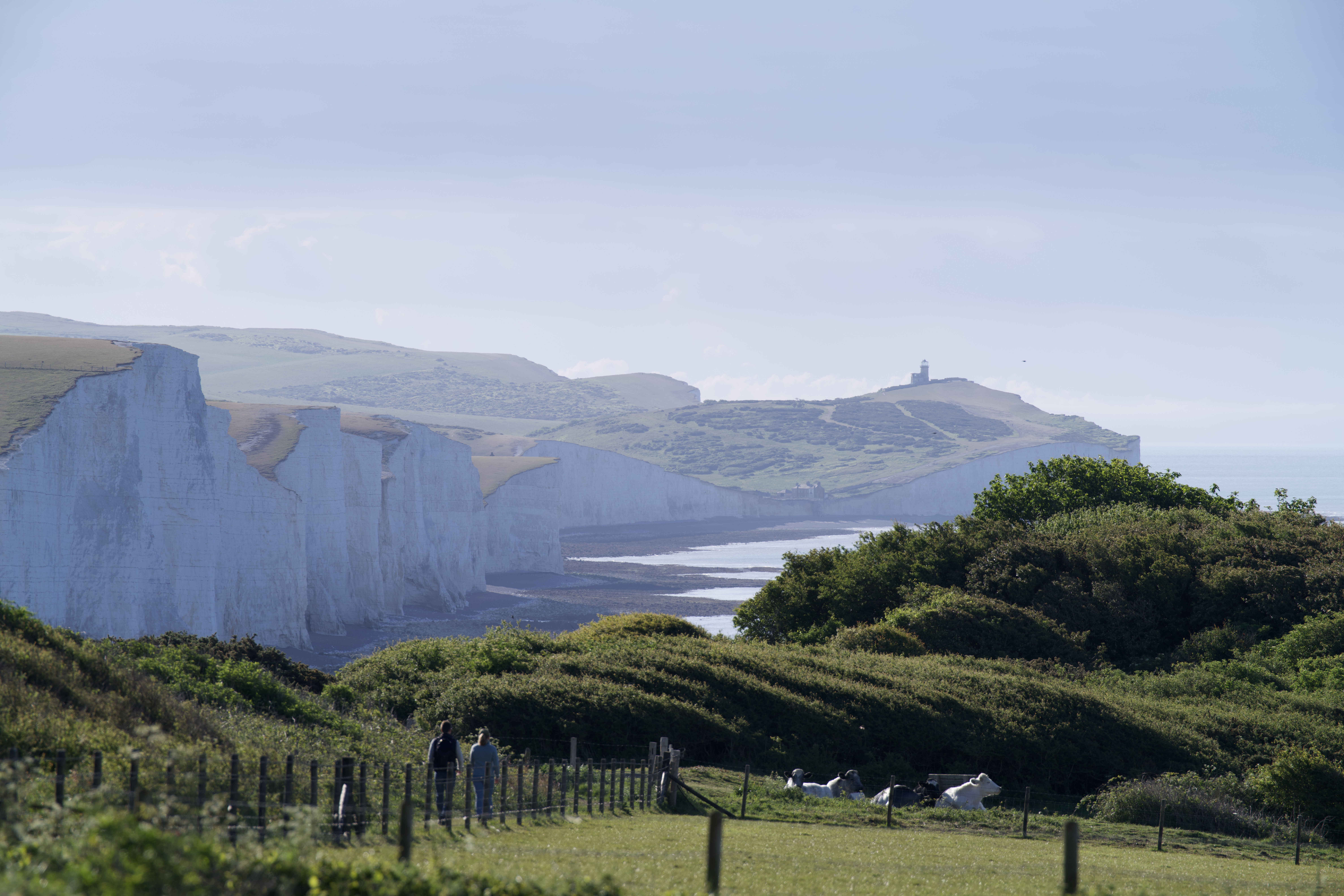 Seven Sisters chalk cliffs and coastal scenery, East Sussex