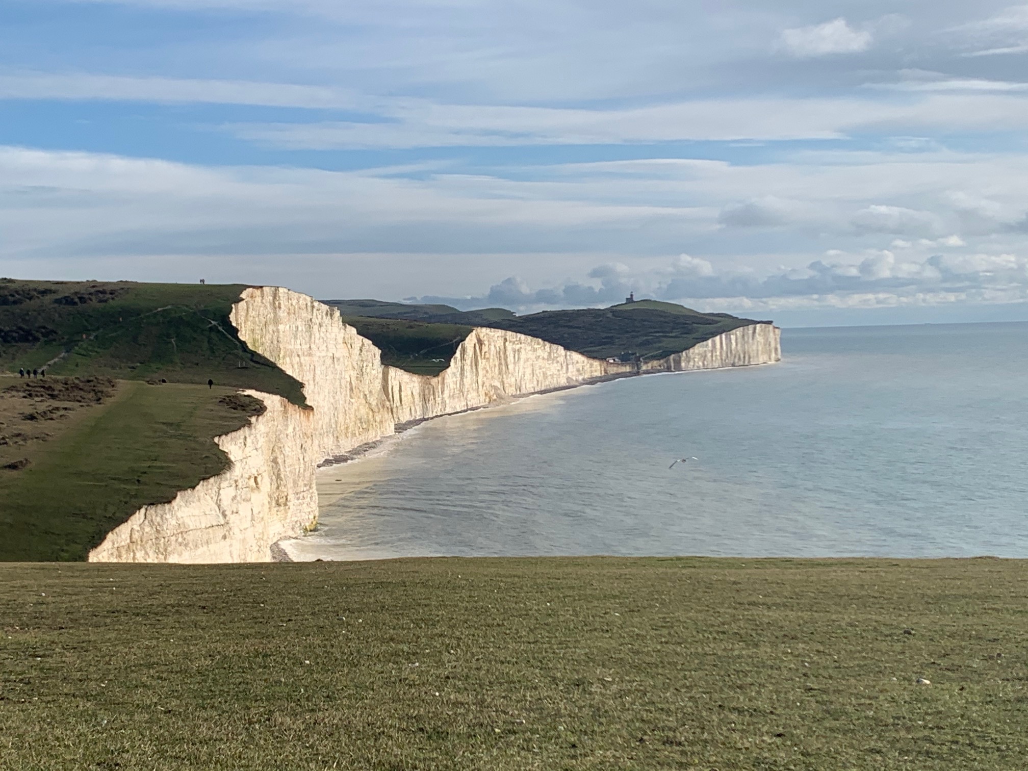 Seven Sisters chalk cliffs with Cuckmere Haven — book guided tours and experiences