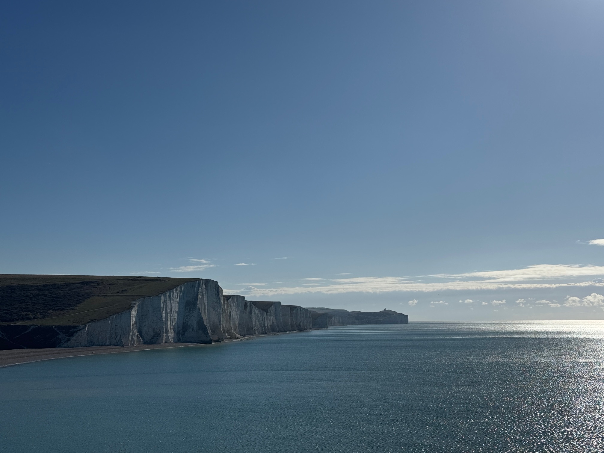 The white chalk coast of the Seven Sisters, East Sussex — rich in coastal wild food and foraging opportunities