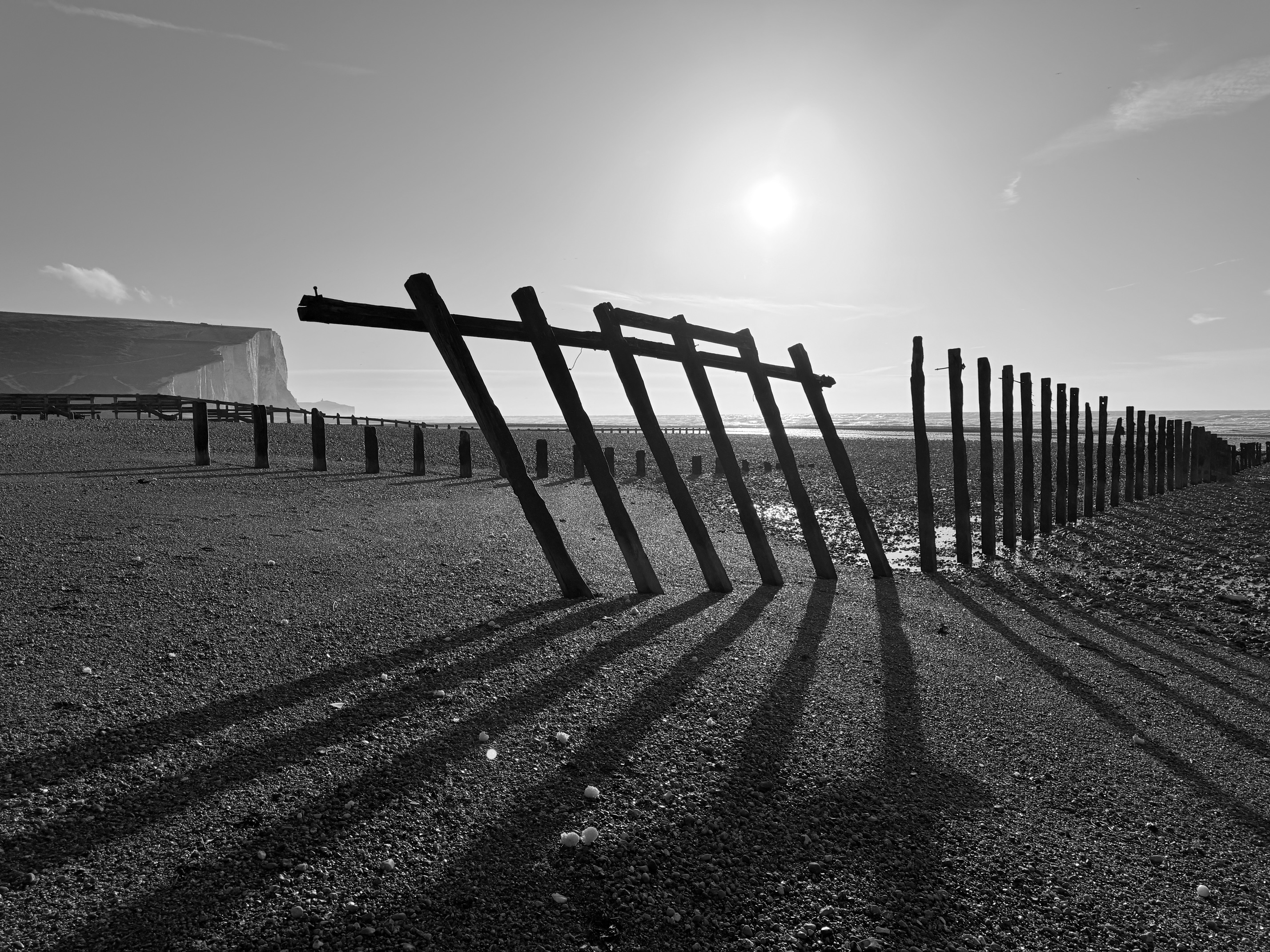 Wildlife safari on the Seven Sisters and South Downs