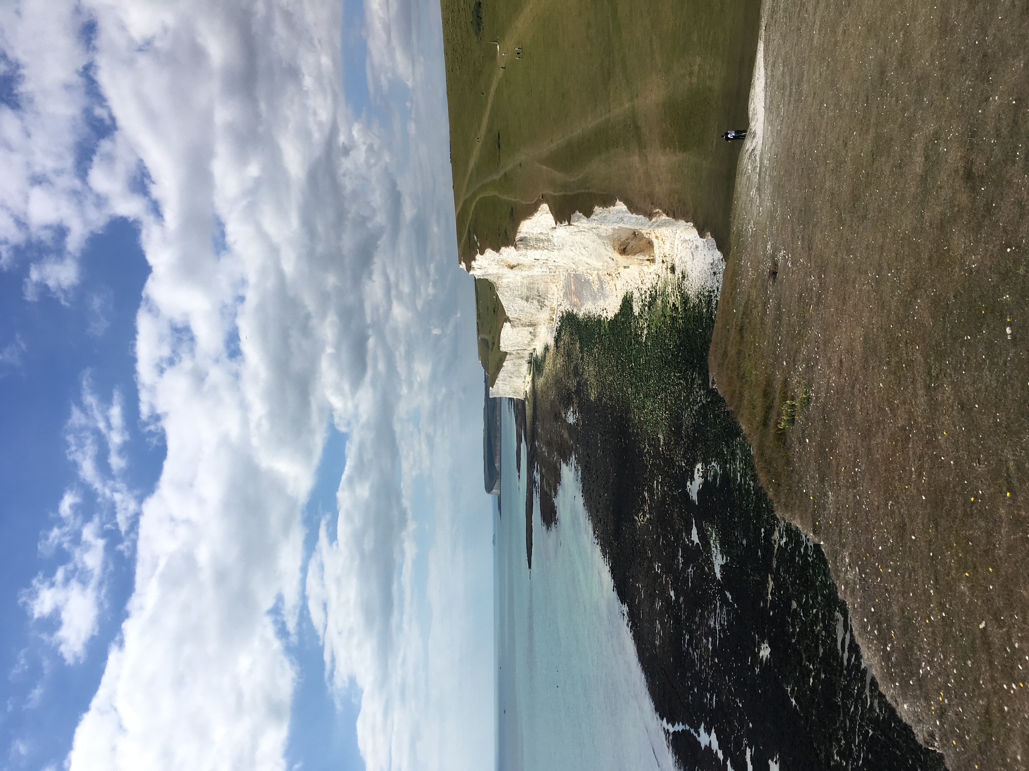 Wellness yoga South Downs