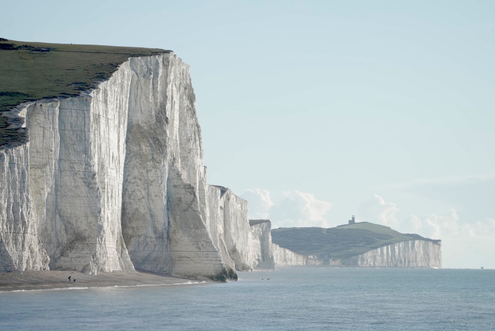 Seven Sisters in Spring: Wildflower Season Guide — Seven Sisters, East Sussex