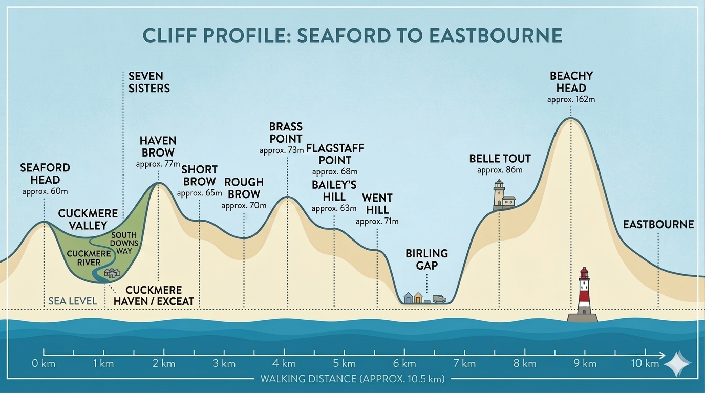 Cliff profile of the Seaford to Eastbourne walk showing all seven sisters peaks and Beachy Head at 162m